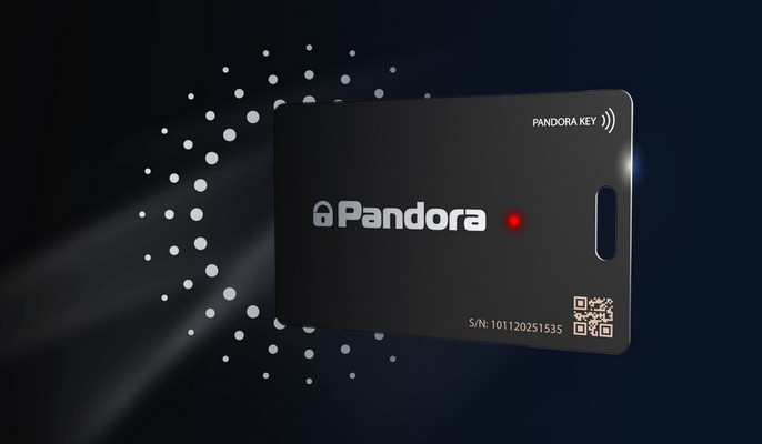 Карта-метка Pandora Слим